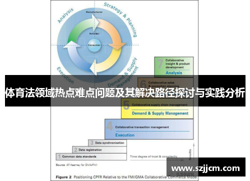 体育法领域热点难点问题及其解决路径探讨与实践分析