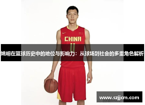 姚明在篮球历史中的地位与影响力：从球场到社会的多重角色解析