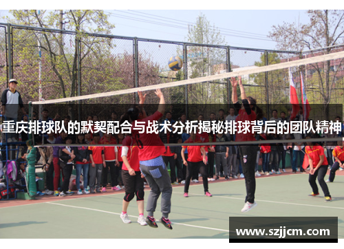 重庆排球队的默契配合与战术分析揭秘排球背后的团队精神