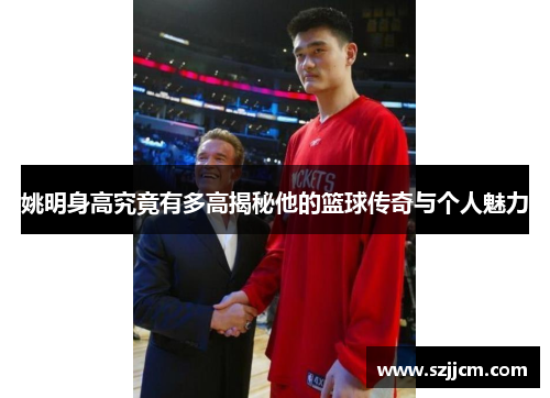 姚明身高究竟有多高揭秘他的篮球传奇与个人魅力