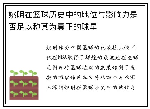 姚明在篮球历史中的地位与影响力是否足以称其为真正的球星